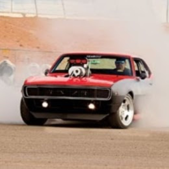 Meet your Posher, Logan - Picture 1 of 1